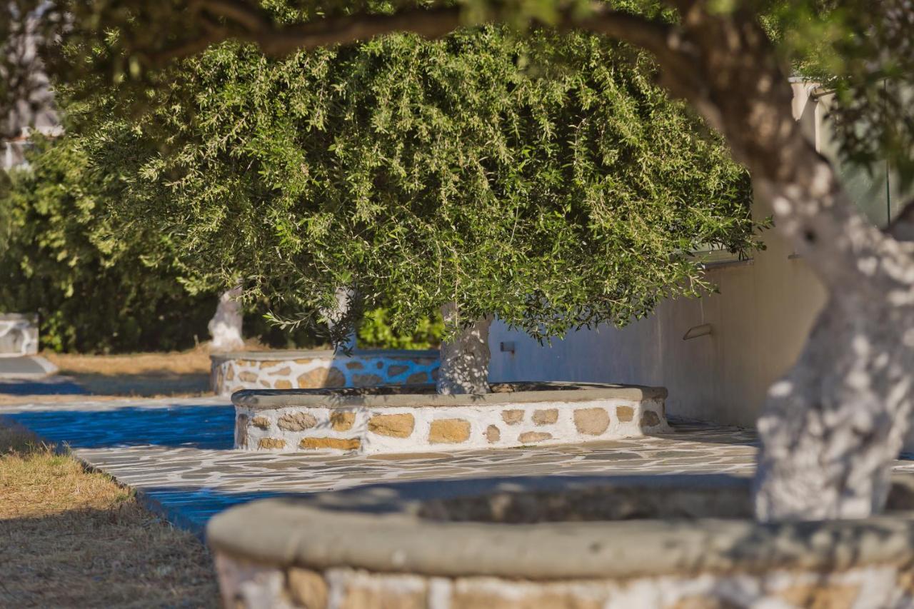 Olive Studios Karpathos Studio #4 Exterior photo